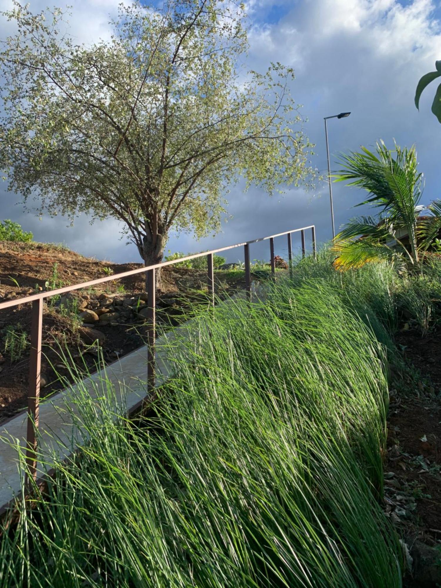 Conectar Con La Naturaleza Esparza Esterno foto